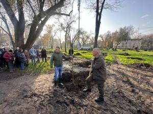 Soydaşlarımız Odessada ağacəkmə aksiyası keçirib (FOTO) Xəbər şəkili