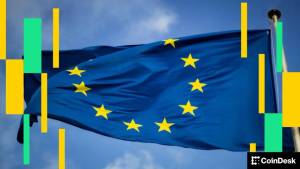 MiCA Qaydaları Stablecoin Böhranının Qarşısını Alacaqmı? - Tənqidi Fikir: Risk Artır