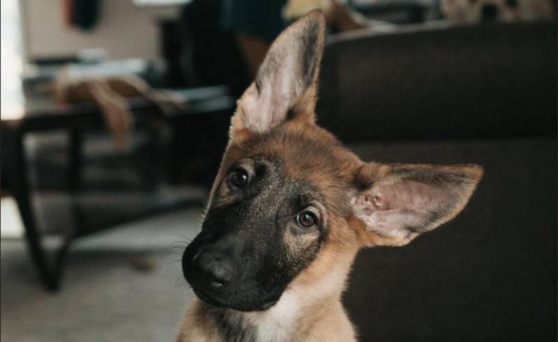 Bitkoinin Kəskin Düşüşü: Proqnoz Bazarları Belə Bu Satış Dalğasını Əvvəlcədən Görə Bilmədi