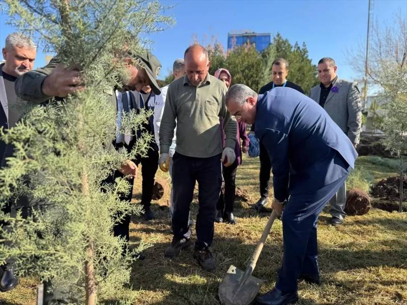Diyarbəkirdə Ümumdünya Vaxtından Əvvəl Doğuş Günü Qeyd Edildi: Həyata Tutunan Uşaqlar Tədbirdə İştirak Etdi