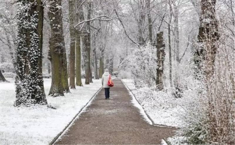 Almaniyada Güclü Qar və Buzlanma Yollarda Faciəyə Səbəb Oldu - 3 Ölüm, Onlarla Yaralı