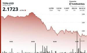 Tonkoinin Qiyməti Böyük Səhmdarın 273 Milyon Dollarlıq Alışında Nasdaq Qayda Pozuntusu Aşkarladığı Üçün Azaldı