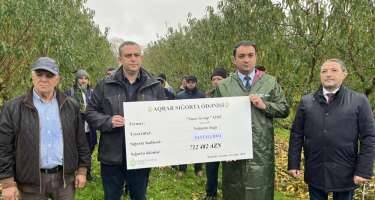 “Şaxta nəticəsində bağa ciddi ziyan dəyib” -Rəvan Səmədli