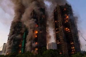 Honkonqda güclü yanğın zamanı 90-dan çox ev heyvanı xilas edilib Xəbər şəkili