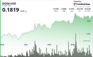 Donald Trampın 2000 dollarlıq Stimul Vədi: Dogecoin (DOGE) 6% Bahalaşdı və Kripto Bazarına 2021-ci İlin Ruhu Gəldi