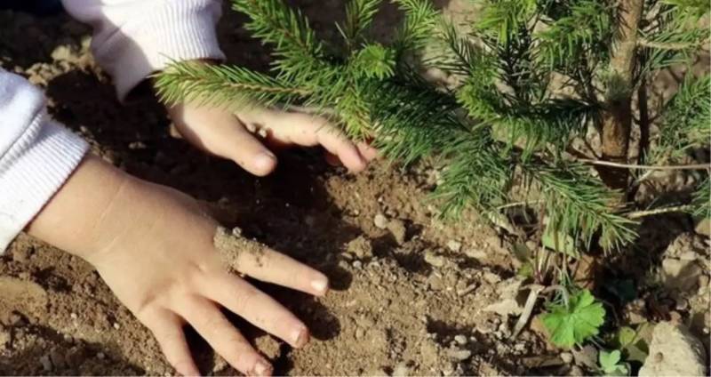 TEMA Fonduna Necə Dəstək Olmaq Olar? İanə Yolları, Layihələr və Könüllü Üzvlər