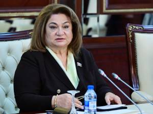 Zorakılığa məruz qalan qadınlarımız, erkən nikaha məcbur edilən qızlarımız var – Komitə sədri Xəbər şəkili