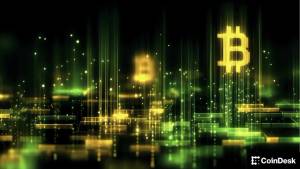 Kripto Bazarı 2025-də: Nik Karter və Makkordik (McCordic) Ziddiyyətli Proqnozlar Səsləndirir Xəbər şəkili