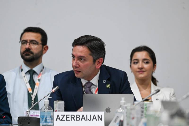 COP29-un gənclər üzərində qurulan irsi geləcək sammitlər üçün iştirak modelidir - Yalçın Rəfiyev
