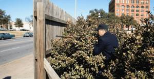 Google Gemini Süni İntellekti Qalmaqallı Şəkillər Yaratdı: Moderasiya Problemləri