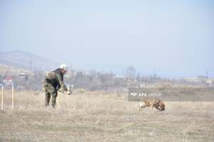 Minatəmizləyənlərə təlimlərin keçirilməsi Qaydası təsdiqlənib Xəbər şəkili
