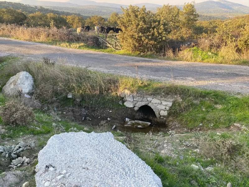 Çanaqqalada boş ərazidə tapılan qız körpəsi cəsədi: İstintaq başlayıb Xəbər şəkili