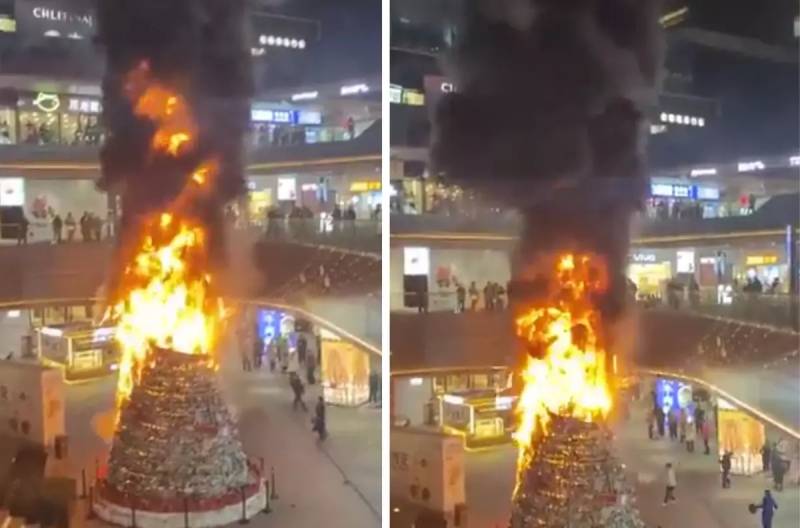 Çində Ticarət Mərkəzində Nəhəng Yeni İl Ağacının Yanması Böyük Çaxnaşmaya Səbəb Oldu Xəbər şəkili