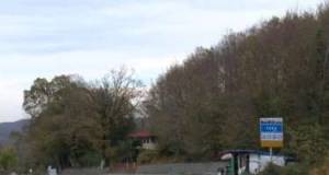 İstanbulda karantin - Dabaq təhlükəsi böyüyür