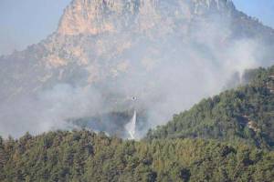 Azərbaycan-Ermənistan sərhədində baş verən yanğın söndürülüb Xəbər şəkili