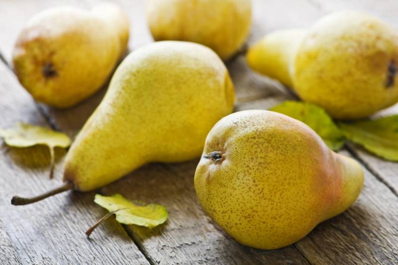 Azərbaycan 4 ölkəyə armud satmağa başlayıb