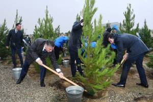 Zəfərin 5-ci ildönümünə həsr edilən ağacəkmə aksiyası keçirilib