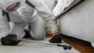 Zəhərlənmə Faciəsi Gündəmdə: <strong>Alüminium Fosfit</strong> Təhlükəsi - Divardan Belə Sızır və Satışı Asandır Xəbər şəkili