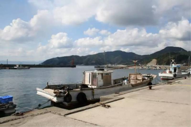 Yaponiyanın Oita Əyalətində Liman Yaxınlığında Baş Verən Yanğın: 170-dən Çox Bina Zərər Gördü