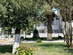 “5-ci kolon” kimi xarakterizə edilən qüvvələr ictimai-siyasi gündəmdən tədricən uzaqlaşır - Deputat Xəbər şəkili