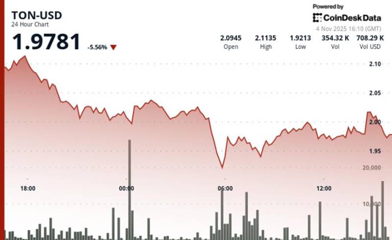 Kriptovalyuta Bazarındakı Təzyiqlər: Tonkoinin Qiyməti $2 Səviyyəsindən Aşağı Endi