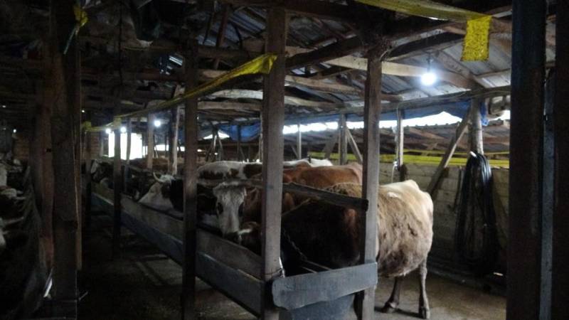 İstanbulun Şilə Rayonunda Şap Xəstəliyi Səbəbindən 3 Kənd Karantinə Alınıb, 18 Məhəllə Nəzarətə Götürülüb