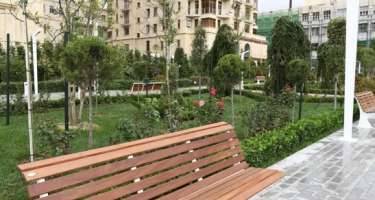 Bakıda parkda meyit tapıldı