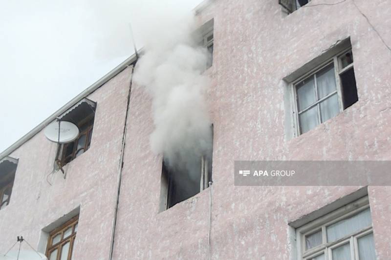 Kürdəmirdə canavarlar kəndə hücum edib