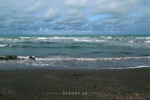 Xəzər dənizindəki ekoloji fəlakətin qarşısının alınması üçün vəsait ayrılması təklif olunur