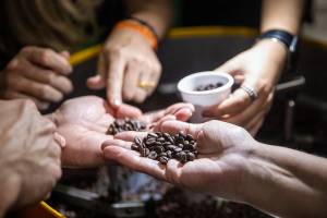 ABŞ qiymətlərin artmasına görə qəhvə tariflərini azaldacaq Xəbər şəkili