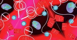 $50-dan Aşağı Ən Yaxşı Hədiyyələr: Bayram Xərclərinə Qənaət Etməyin Yolları Xəbər şəkili