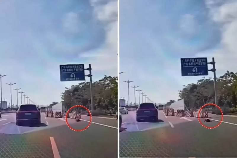 Çində Sürücü Körpəni Avtomagistralda Böyük Təhlükədən Necə Xilas Etdi