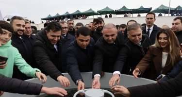 Neftçalada “I Balıq” Festivalı keçirildi -FOTOLAR