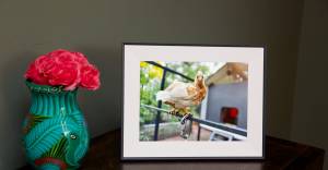 Cyber Monday Fırsətləri: "Verge" Təsdiqli Texnoloji Hədiyyələrə 60%-ə Qədər Endirim Hələ Də Davam Edir Xəbər şəkili