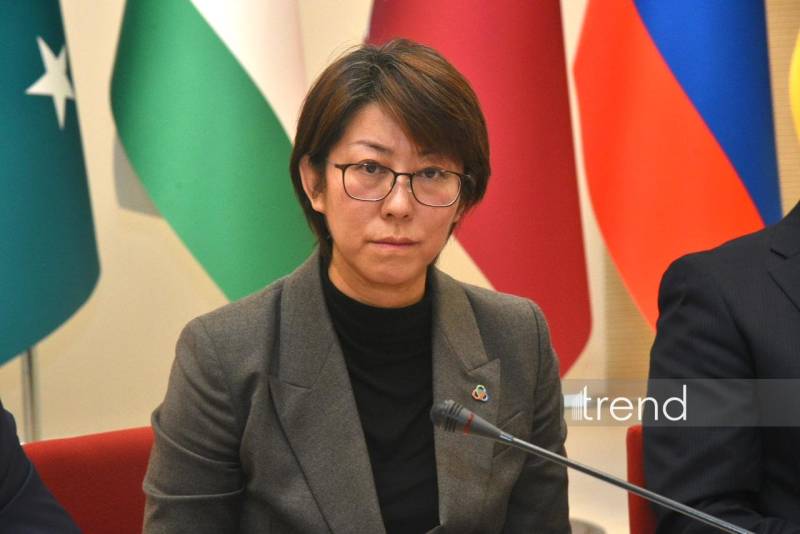 “Yaşıl” enerji məsələləri AQEM regionunun inkişafı üçün əsas aspektə çevrilir - Çjan Lin