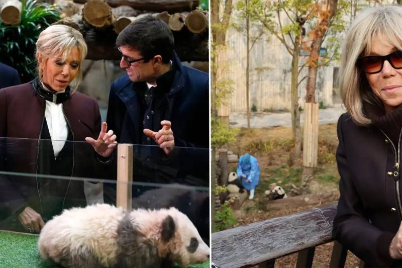 Fransa Birinci Xanımı Brigitte Makron Çin Səfərində Diplomatik Simvol Olan Yuan Menq Pandası ilə Yenidən Görüşdü