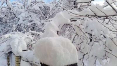 Sabahın hava proqnozu a&ccedil;ıqlandı Xəbər şəkili